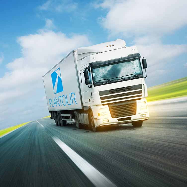 PLANTOUR